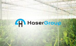 Haser Group